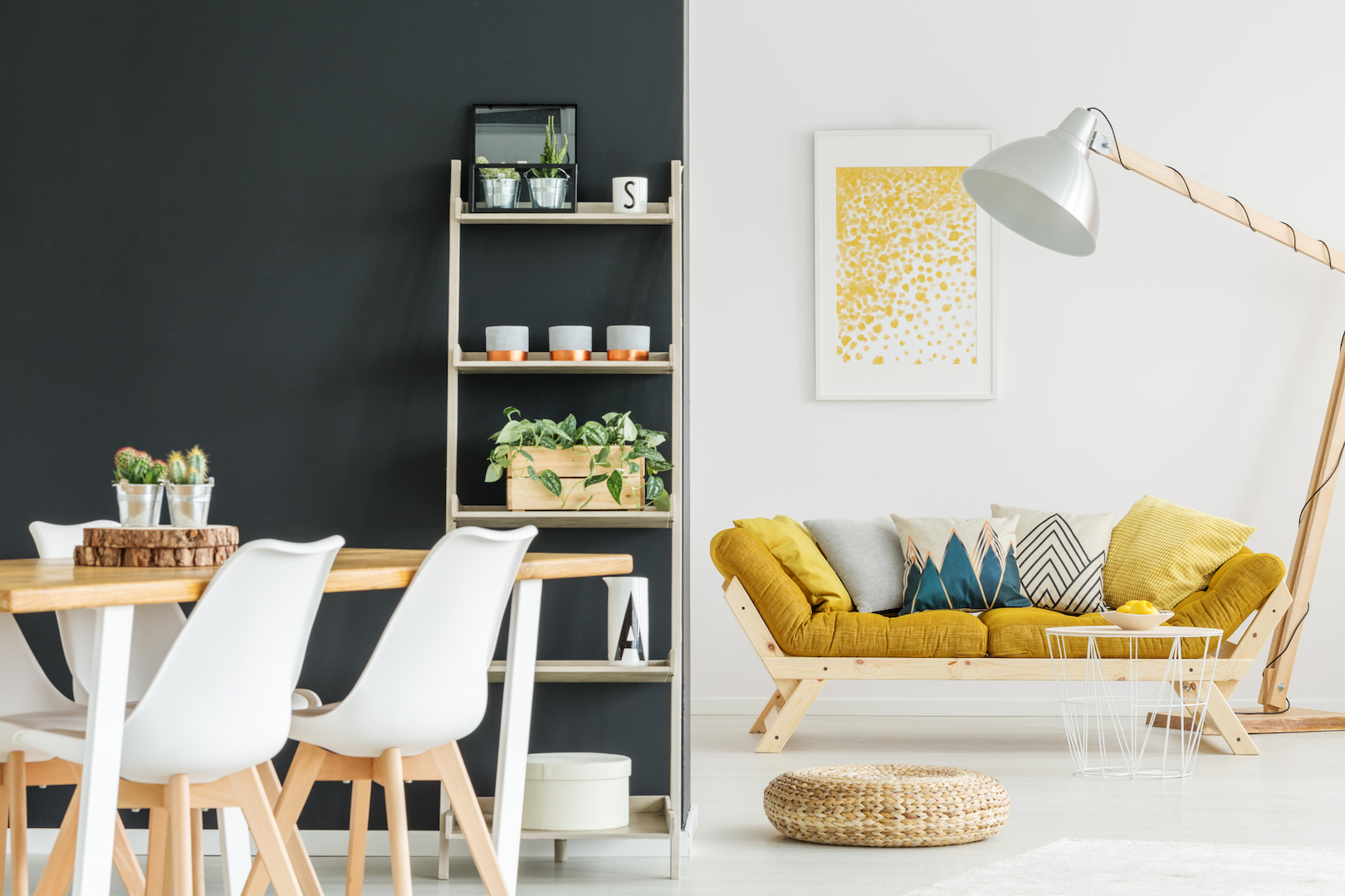 plants on shelves